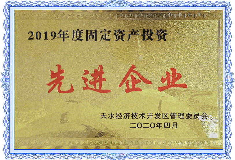 2019年固定資產投資先進企業